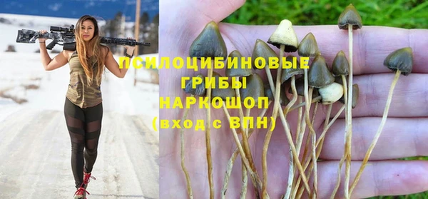 спайс Арсеньев
