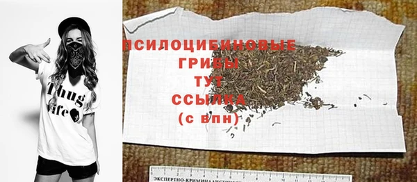 спайс Арсеньев